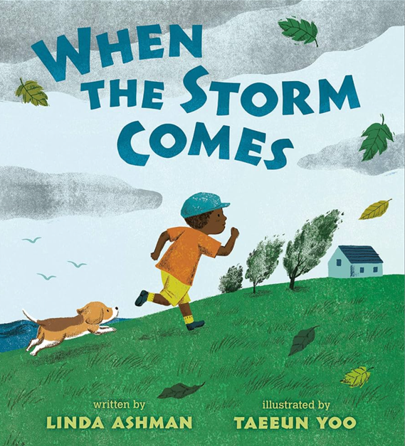 When the Storm Comes books cover