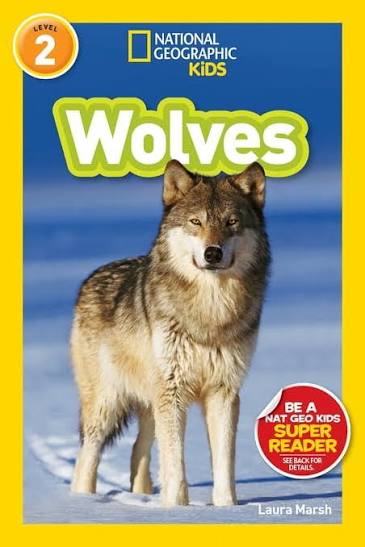 Cover image of Wolves. Featuring a photo of a wolf staring mysteriously.